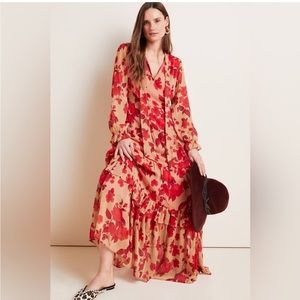 Anthropologie Rosalina sheer maxi dress